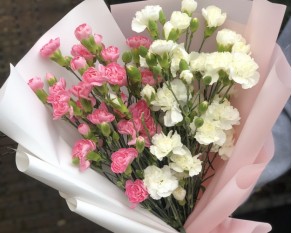 Букет із 13 білих та рожевих гвоздик в стильній упаковіці