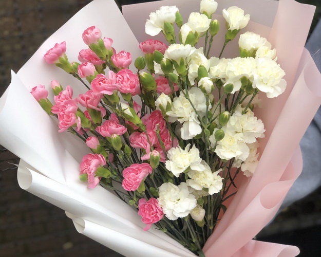 Букет із 13 білих та рожевих гвоздик в стильній упаковіці