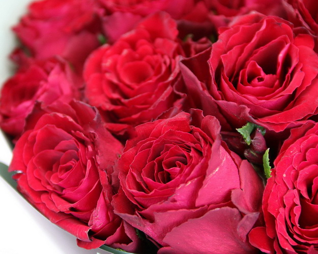 Букет троянд Родос