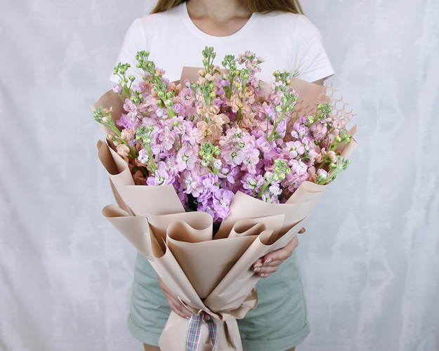 Букет з 25 мікс матіол в стильній упаковці.