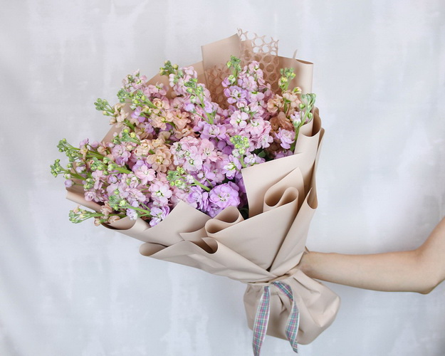 Букет з 25 мікс матіол в стильній упаковці.