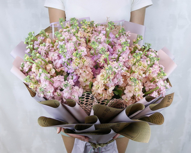 Букет із 51 матіоли мікс у стильній упаковці.