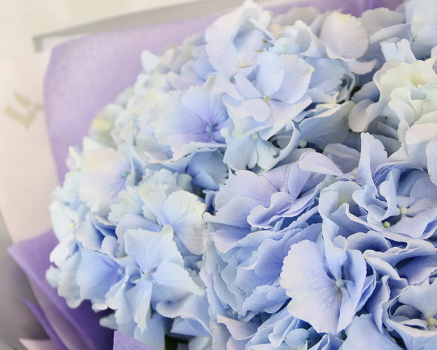 Букет квітів Пухнасті хмари