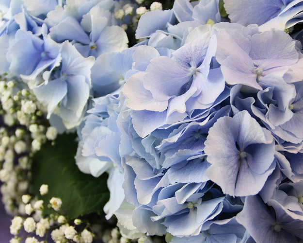 Букет квітів Зачарований