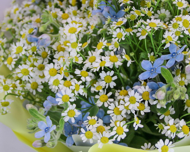 Букет квітів Трепетне кохання