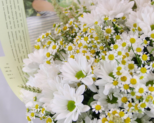 Букет квітів Скромна посмішка