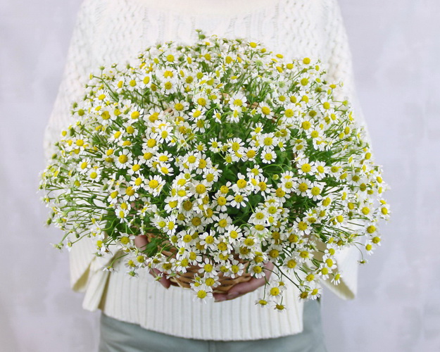 Кошик квітів Мерехтливість