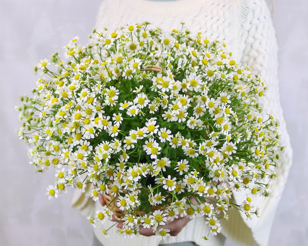 Кошик квітів Мерехтливість