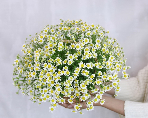 Кошик квітів Мерехтливість