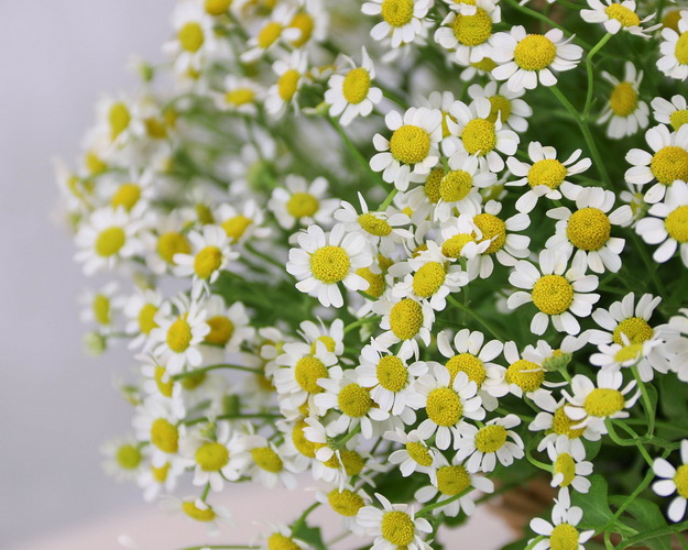 Кошик квітів Мерехтливість