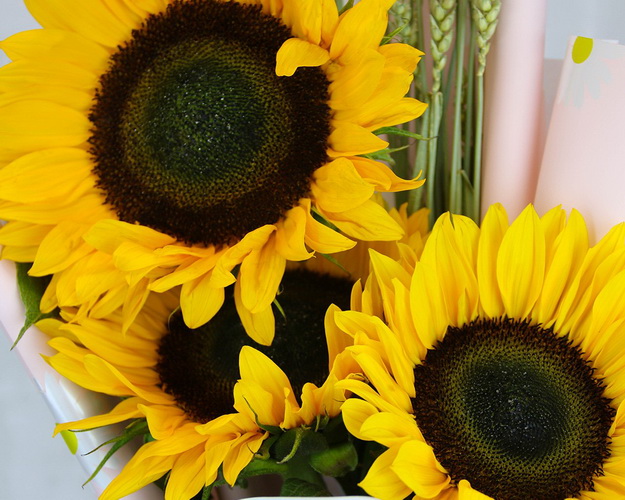 Букет квітів Поле кохання S