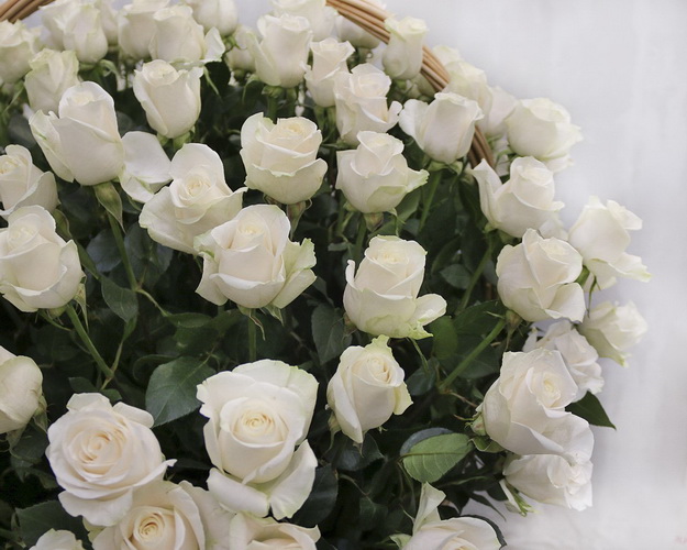 Кошик квітів зі 101 білої троянди
