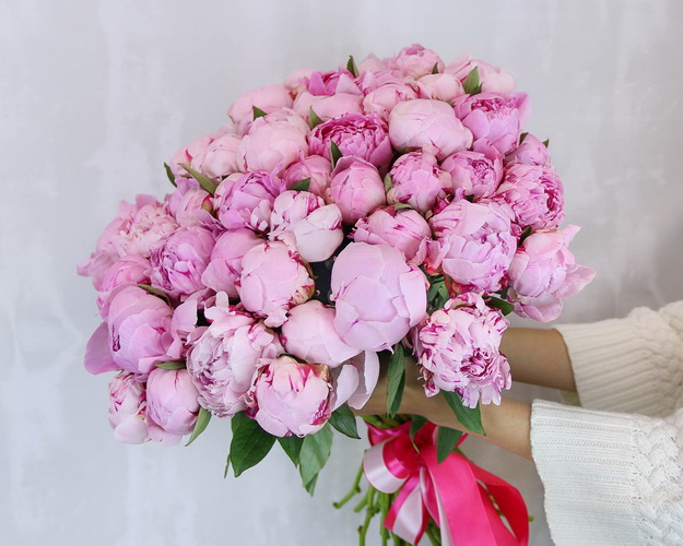 Букет з 51 рожевої півонії під стрічку