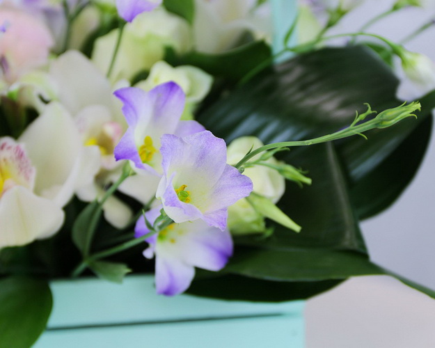 Квіти в дерев'яному ящику Балі