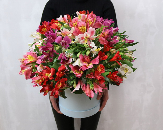 Букет в капелюшної коробки з альстромеріі Яскравий дощ