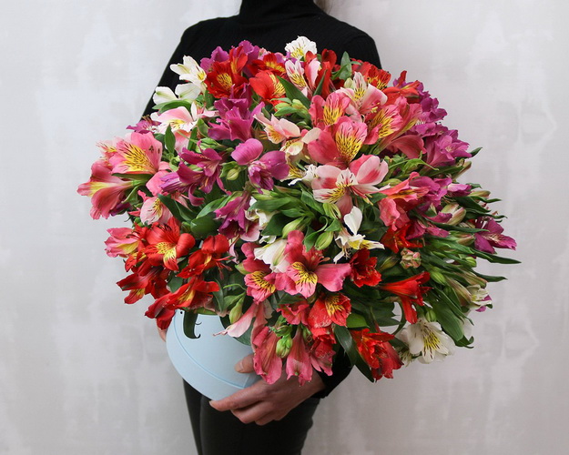 Букет в капелюшної коробки з альстромеріі Яскравий дощ