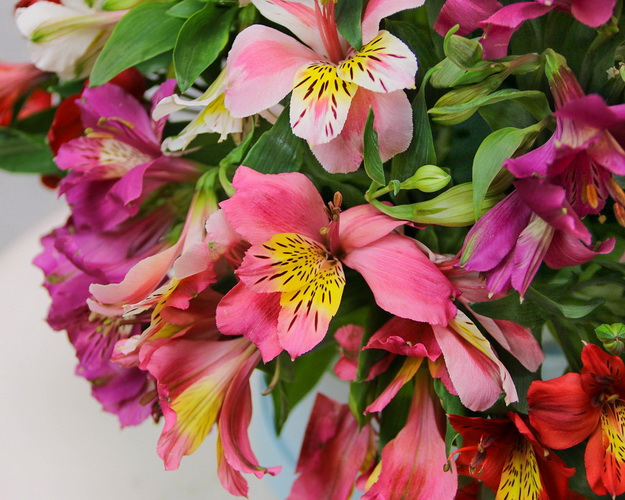 Букет в капелюшної коробки з альстромеріі Яскравий дощ