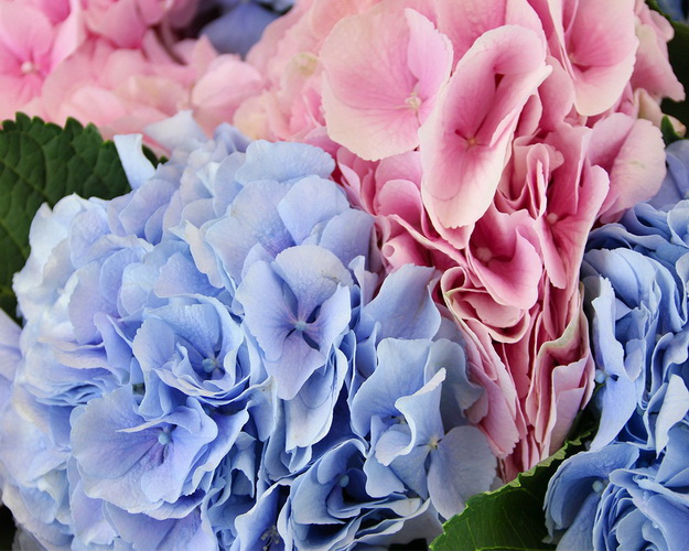 Букет квітів Хмари щастя