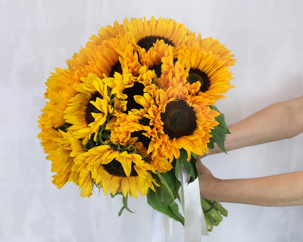 Букет із 25 соняшників під стрічку