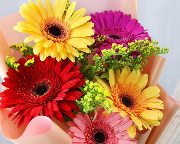 Букет з 5 гербер стандарт мікс у стильній упаковці із зеленню