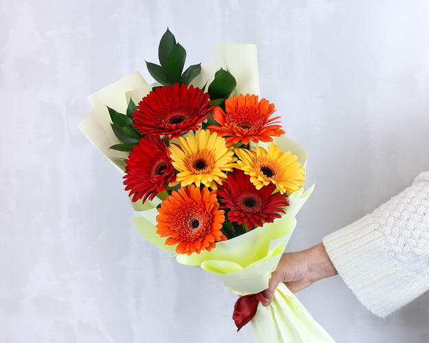 Букет з 7 гербер стандарт мікс у стильній упаковці із зеленню