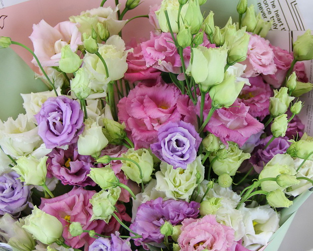 Букет з 25 лізіантусів мікс у стильній упаковці