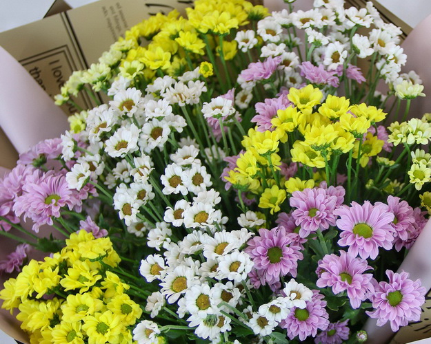 Букет з 9 кущових хризантем мікс у стильній упаковці