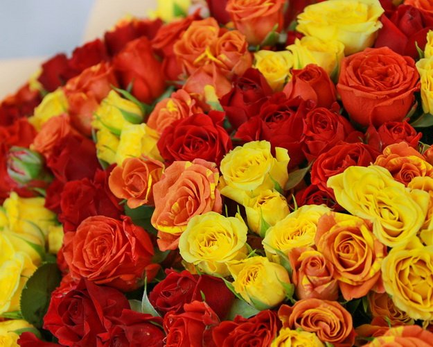 Букет із 101 кущової троянди яскравий мікс у стильній упаковці