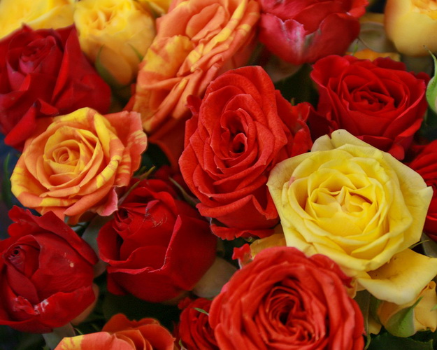 Букет з 9 троянд кущових яскравий мікс в стильній упаковці