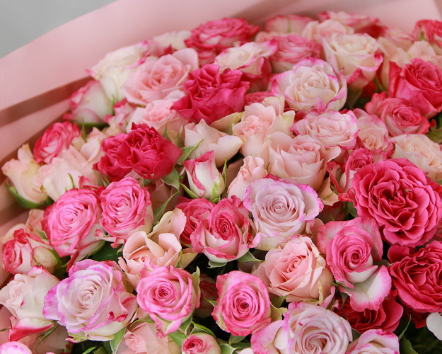 Букет із 35 кущових троянд ніжний мікс у стильній упаковці