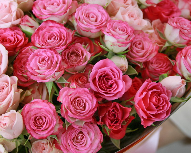 Букет із 25 кущових троянд ніжний мікс у стильній упаковці