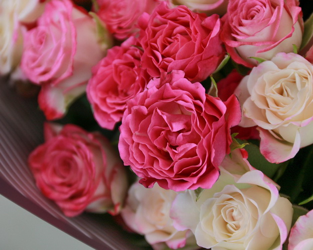 Букет із 15 кущових троянд ніжний мікс у стильній упаковці