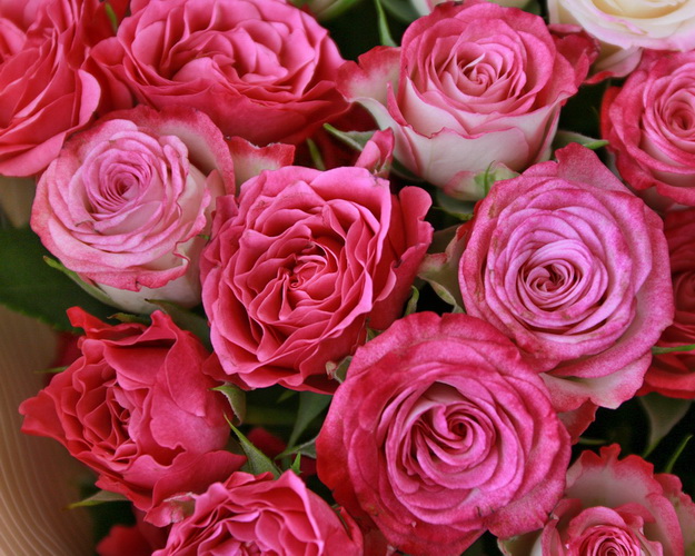 Букет із 9 кущових троянд ніжний мікс у стильній упаковці