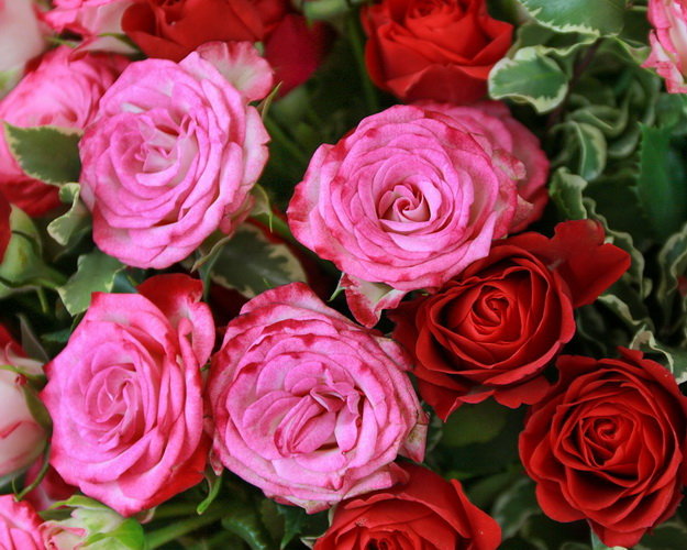 Букет квітів Реверанс