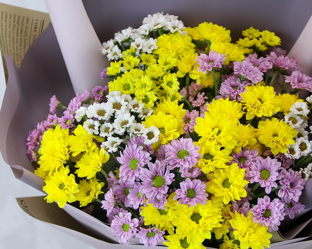 Букет із 15 кущових хризантем мікс у стильній упаковці