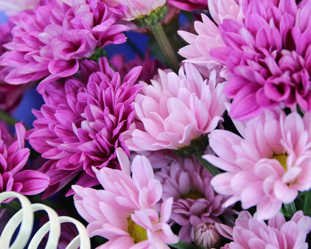 Букет квітів Хвилюючий момент