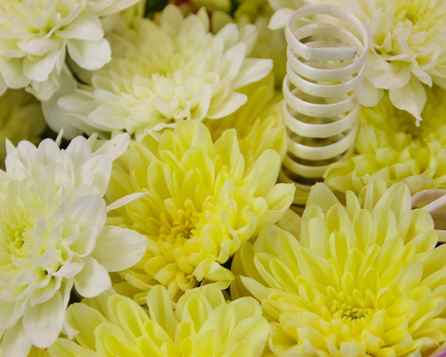 Букет квітів Зворушлива посмішка