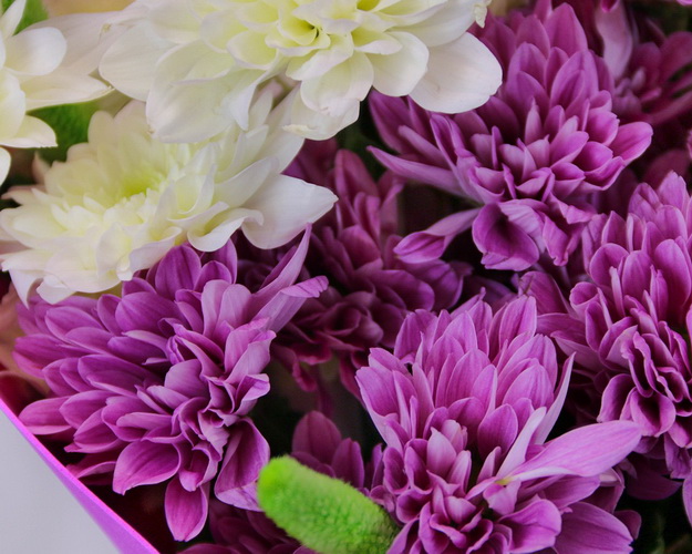 Букет квітів Крихка мить