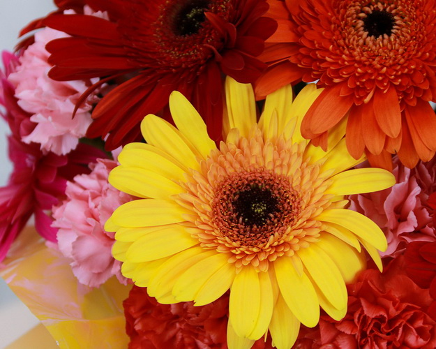 Букет в капелюшної коробки Розмай