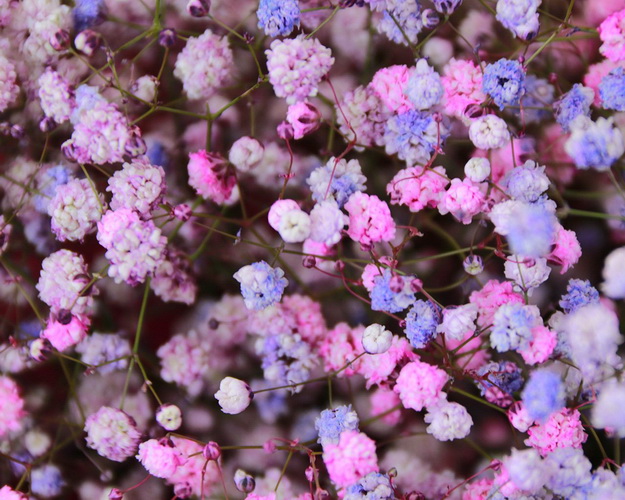 Букет з гіпсофіл Сяйво