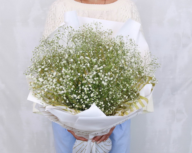 Букет із гіпсофілу Білий пух