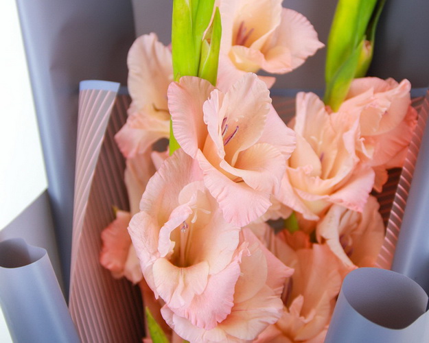 Букет із 3 гладіолусів у стильній упаковці.