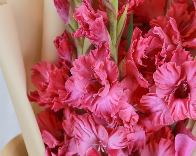 Букет із 5 гладіолусів у стильній упаковці.