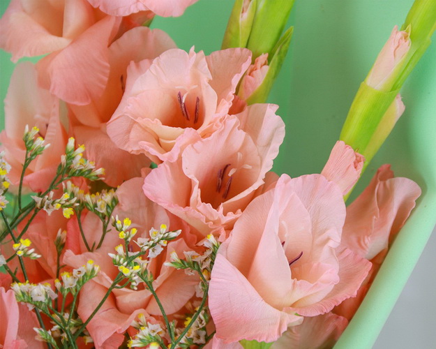 Букет з 5 гладіолусів та зелені у стильній упаковці.