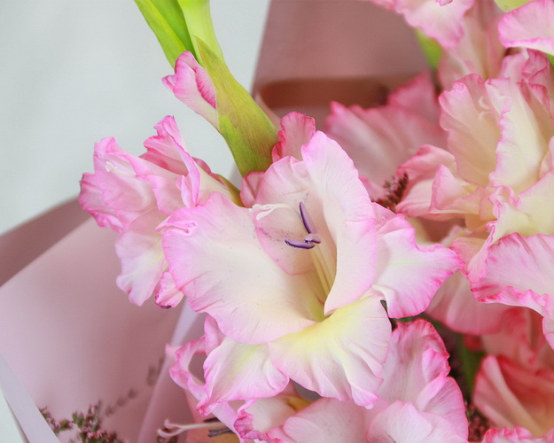 Букет квітів Ніжне прощання