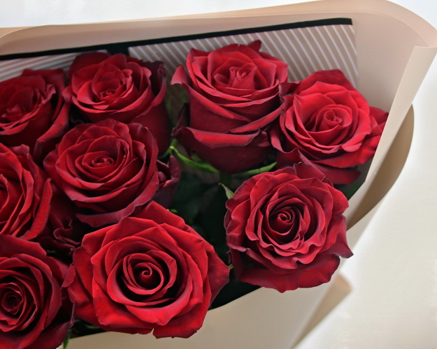Букет із 9 червоних і поринає троянд в стильній упаковці