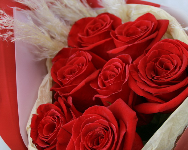 Букет із 7 червоних троянд в упакуванні