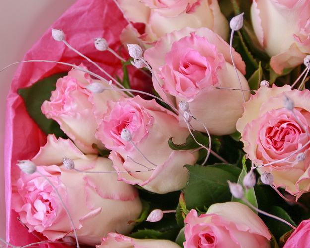 Букет із 9 рожевих троянд в упакуванні