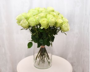 Троянда Еквадор зелена