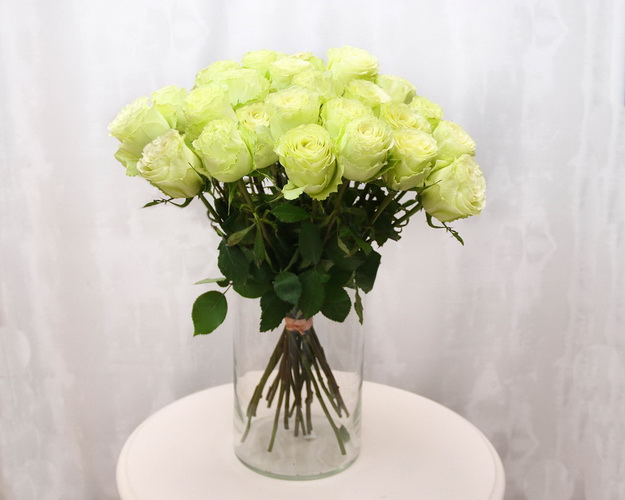 Троянда Еквадор зелена